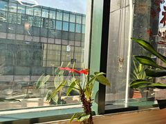 -點無缺茶楼·海鲜酒家(世博店)
