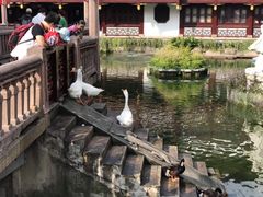 -豫园湖心亭茶楼