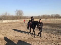 -月河湾马术俱乐部(朝阳店)