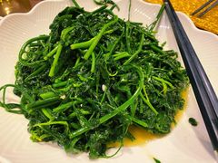 五指山野菜-海南大院(海甸岛店)