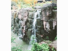 -宝岩生态观光园
