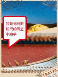 -麦粒鸟亲子游