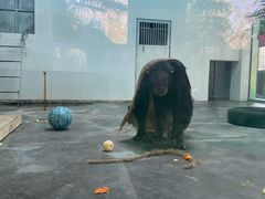 -西安秦岭野生动物园