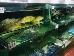 水产区-胖姐渔村(中源大道店)
