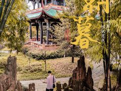 -望江楼公园