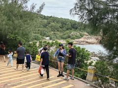 -广东惠东海龟国家级自然保护区