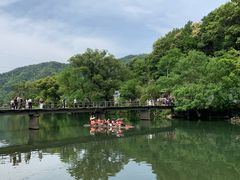 -上坦村