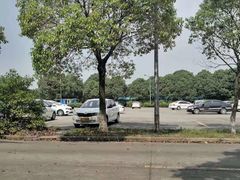 -安飞驰驾校·学车连锁(金高店)