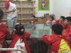 -蕃茄田艺术•美术绘画 •硬笔书法(滨江海威领界店)