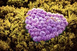 -太古映画婚纱摄影(天河店)