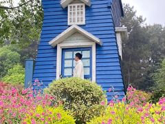 -铁山坪森林公园