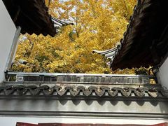 -西园戒幢律寺