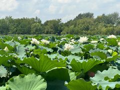 -云龙湖旅游景区
