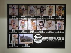 -逗柴咖啡屋·狗咖猫咖宠物桌游