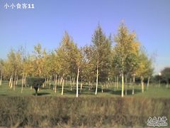 -长春公园(普阳街道)