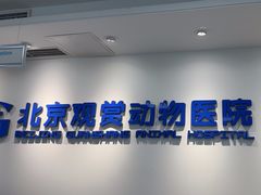 -北京观赏动物医院·24小时大型综合·猫专科·异宠专科