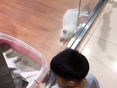 -乐宠宠物店(世纪金源店)