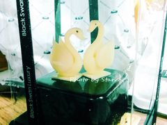 -BLACKSWAN黑天鹅(环球店)