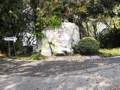 -金鸡湖桃花岛