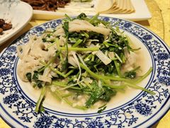 -新侨小馆(东直门北小街店)