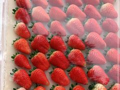 -西郊国际农产品交易中心