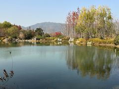 -雅达·阳羡溪山小镇中心