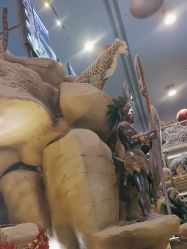 -卡通尼·Safari非洲探索乐园·生日会(金桥国际商业广场店)