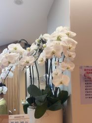 -Yestar宁波艺星整形医院