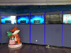-中影国际影城(华发商都CINITY店)