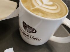 -喜马拉雅森HIMALAYAN FOREST