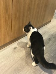 -塞巴斯汀SEBASTIAN专业美发店