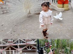 -J Create城市露营咖啡·简餐·宠物(上海动物园店)