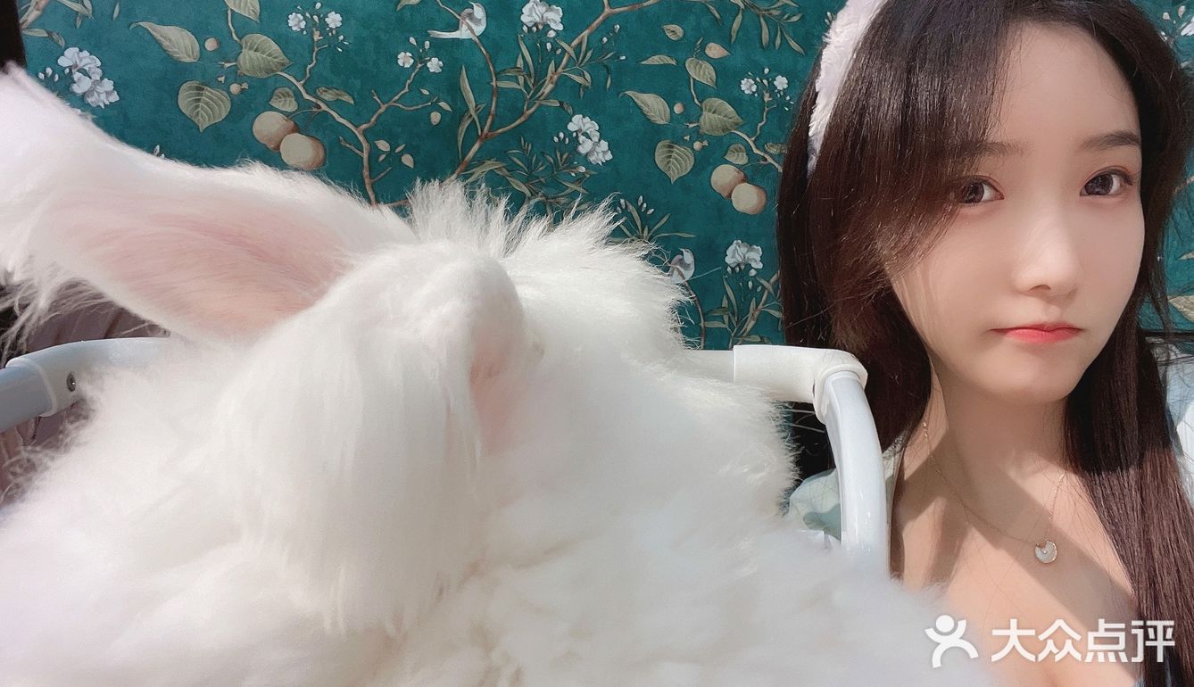深圳首家｜遇见萌宠体验馆🐰