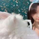 深圳首家｜遇见萌宠体验馆🐰