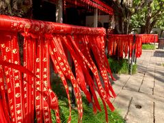 -秋霞圃