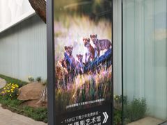 -罗红摄影艺术馆