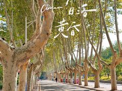 -大连理工大学(凌水校区)