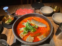 -毛辣果·酸(OHA复兴西路店)