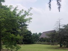 -上海滨江森林公园