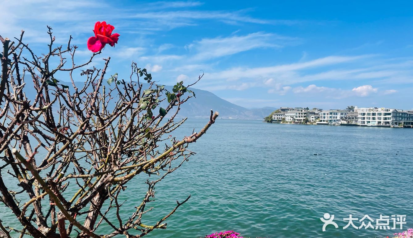 就在洱海边～等风来