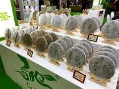 -东浩兰生上海世博展览馆