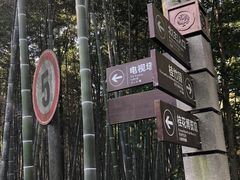 -潜山国家森林公园
