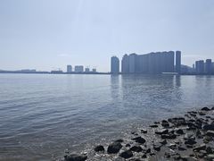 -观澳平台