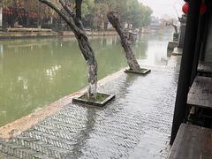 -老品芳