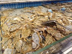 -一方渔歌蒸汽海鲜自助(文化路万达广场店)