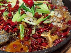 -老板恋上鱼(恒隆广场店)