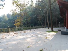 -杭州西湖风景名胜区-三生石