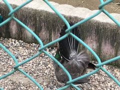 -南京金牛湖风景区