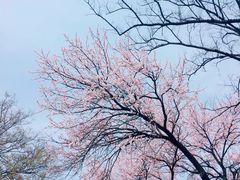 -南京市江宁方山