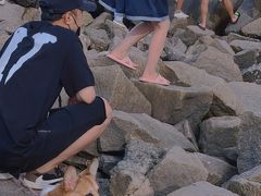 -南汇嘴观海公园